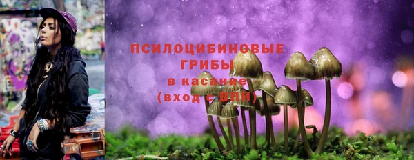 прущая мука Балахна