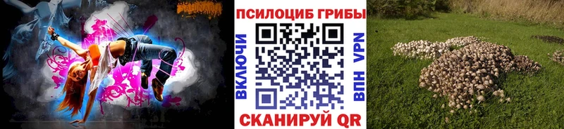 наркотики Лесозаводск Галлюциногенные грибы GOLDEN TEACHER